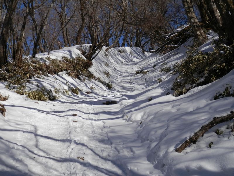 金冷シより、塔ノ岳に向かう道