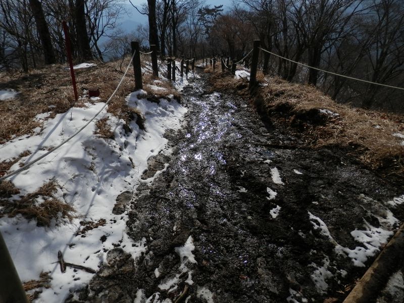 泥濘（ぬかるみ）で歩きにくい登山道