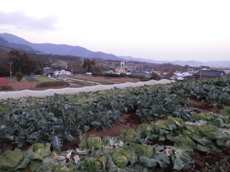 大倉の農道から、相模湾の大きな船が見えた