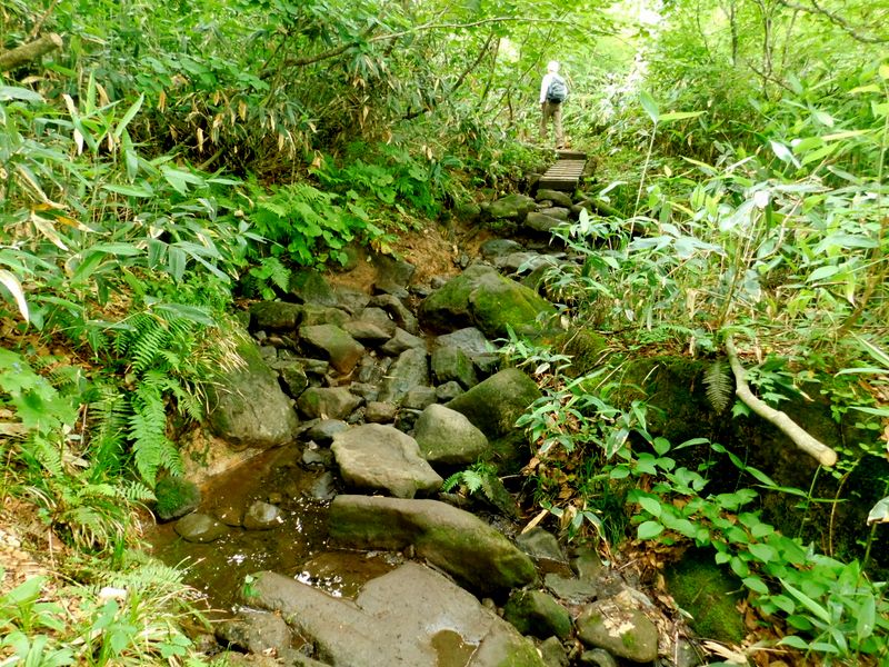 岩石がゴロゴロ