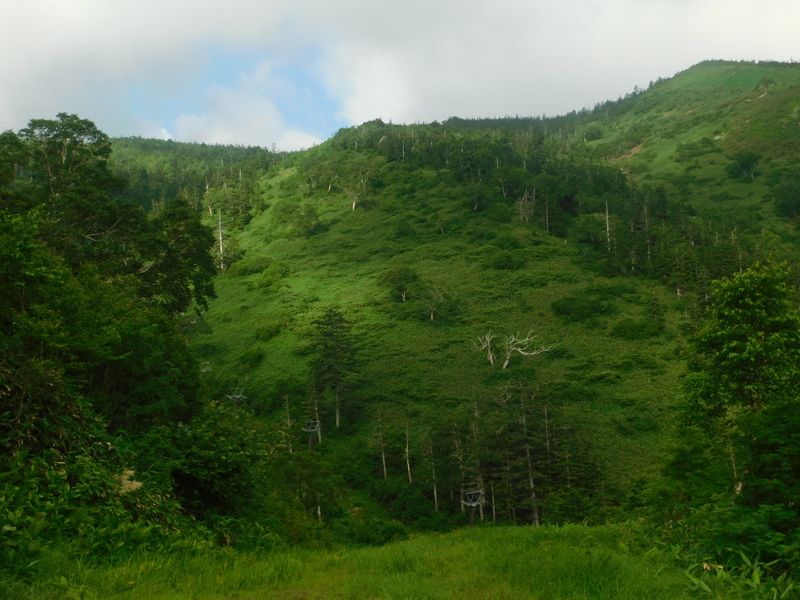 登山道とスキーコースとの交差点