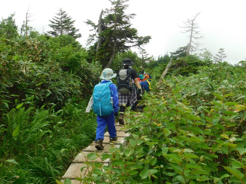 保育園児30名が通過