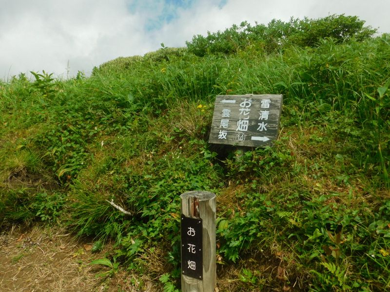 お花畑の名標