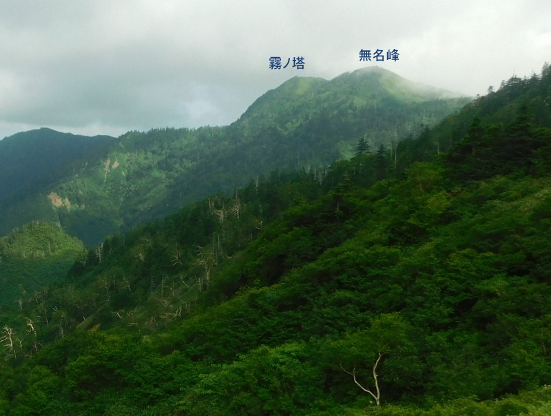 お花畑より霧ノ塔と無名の峰を望む