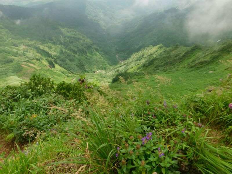 深い谷には雪渓も