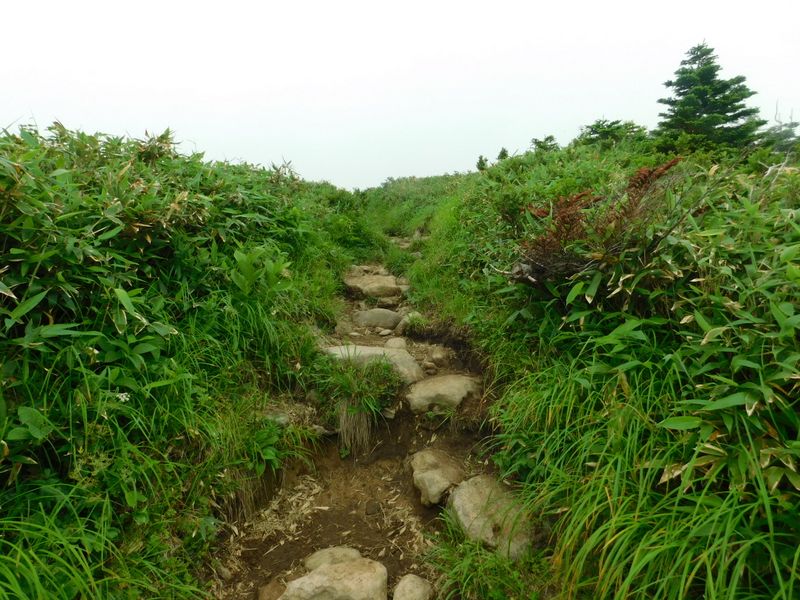 感動のとき1分前