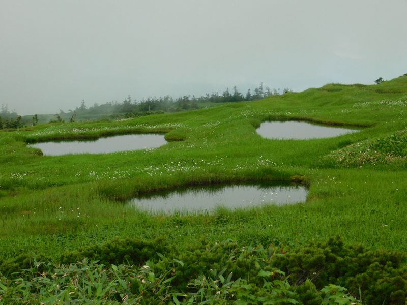 池塘を眺めながら