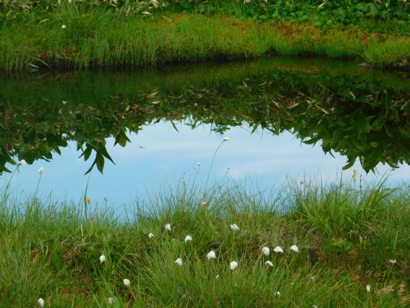 鏡の中にもう一つの世界