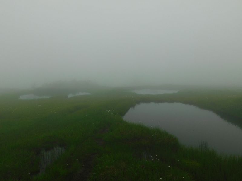濃い霧が出て来た