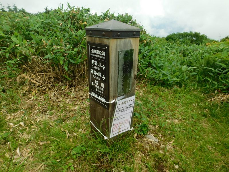 ドラゴンドラ分岐