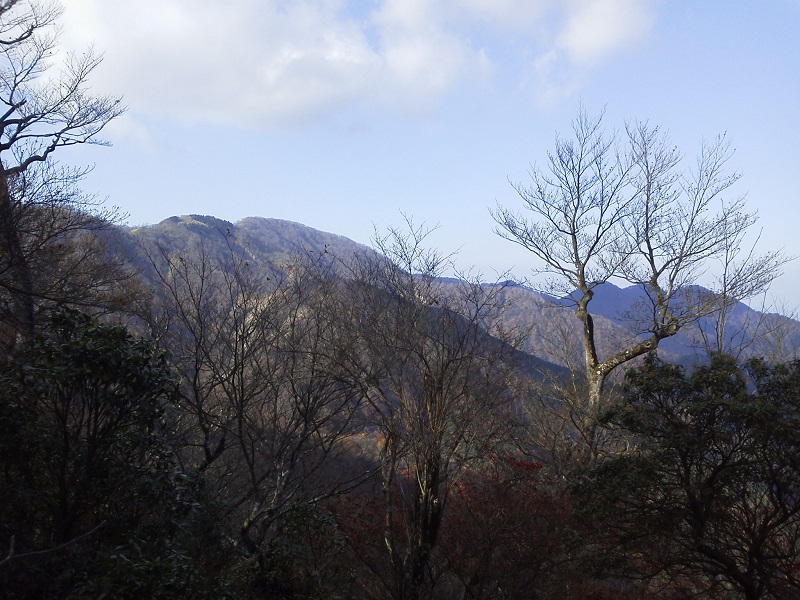 長尾尾根上部より、丹沢山を望む