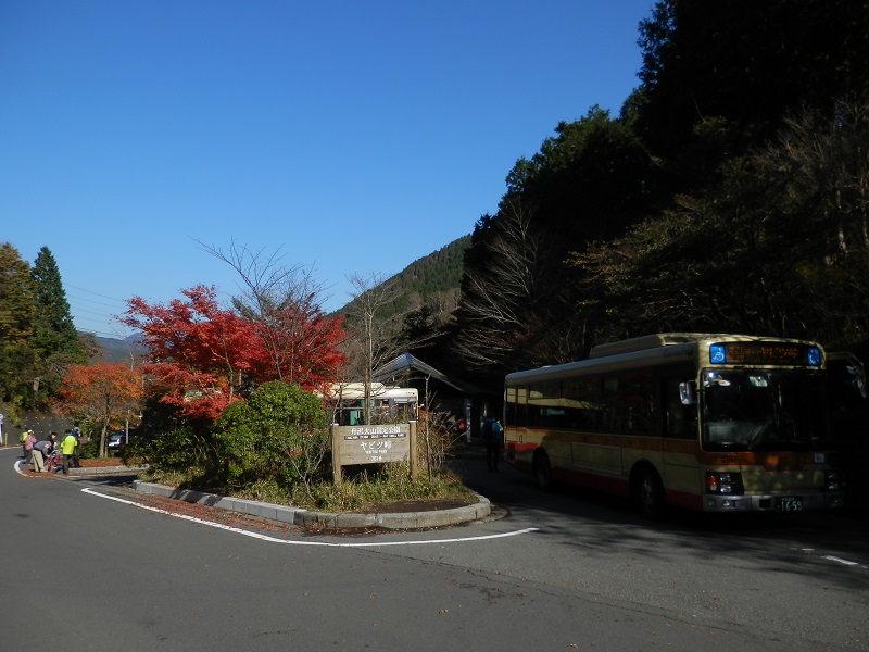 ヤビツ峠にバスが2台
