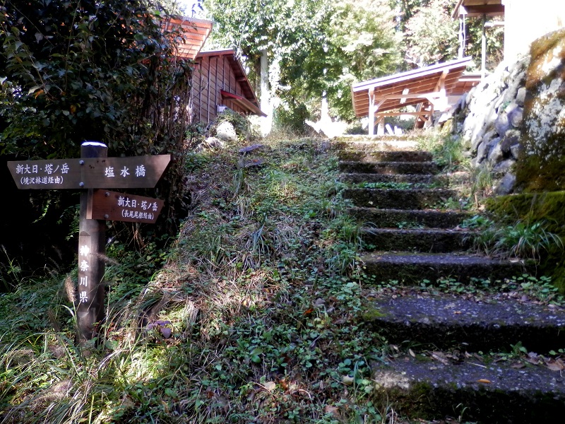 この石段を昇ると、登山道