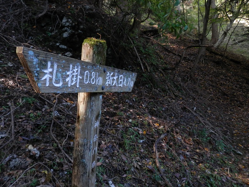 新大日までの5.5kmが減ってゆくのが楽しみ