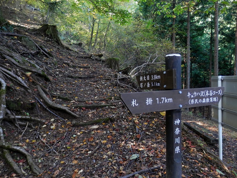 ここが長尾尾根登山路の始まりと言っていいのかな？