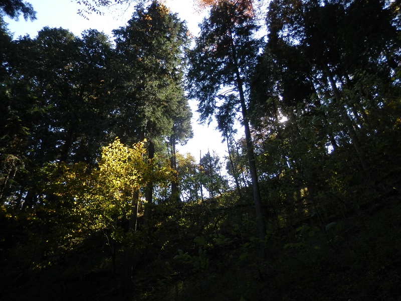 早く、あの尾根に上がりたい！