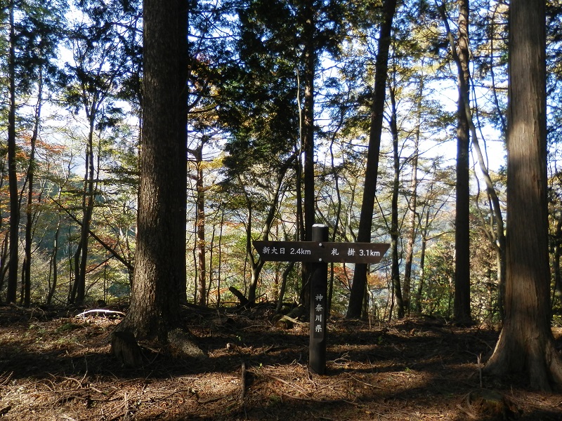 背後に丹沢三峰があるのですが…