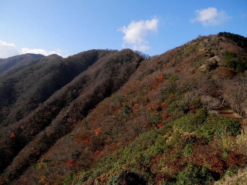 塔ノ岳から新大日にかけての稜線を望む