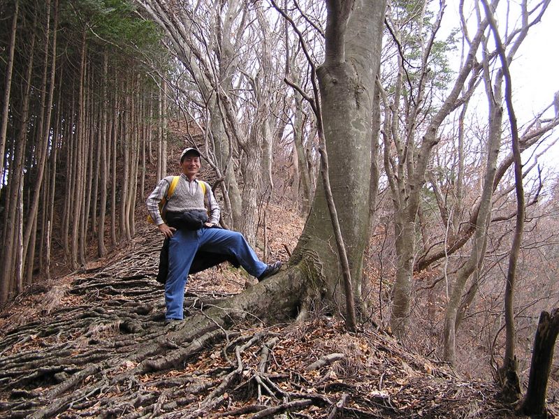鳴虫山 -- 山頂まであと30分