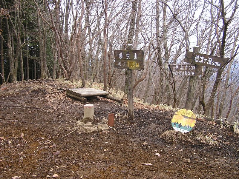 鳴虫山 -- 山頂に到着