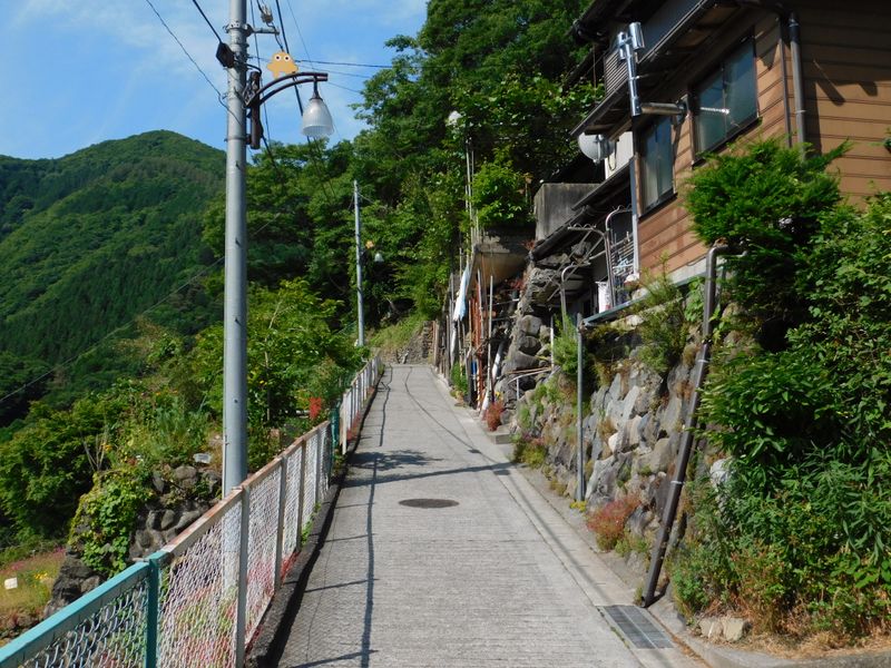 鴨沢の生活道路