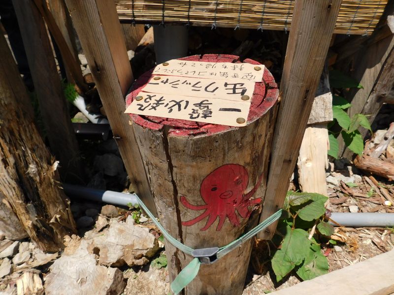 懐かしいタコ突き