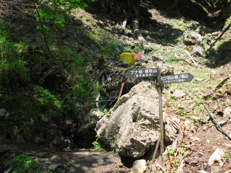 ブナ坂分岐（上段まき道）の水場