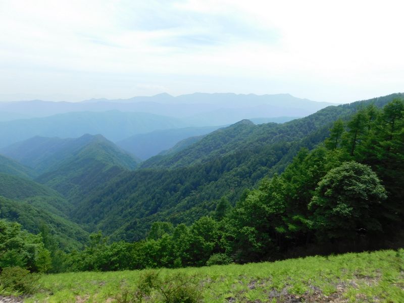 七ツ石尾根（右）と、登り尾根