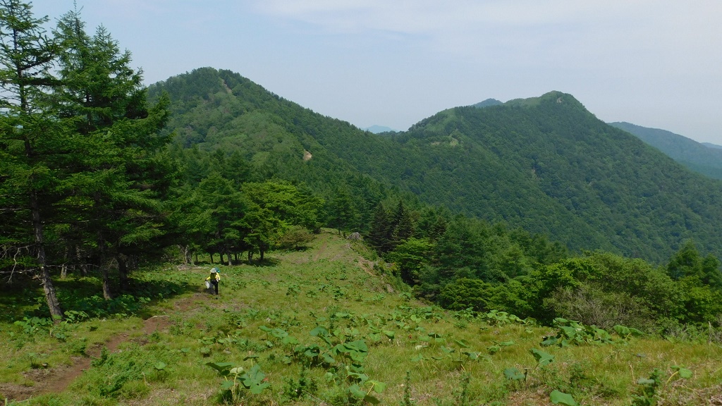 高丸山（左）と日蔭名栗山