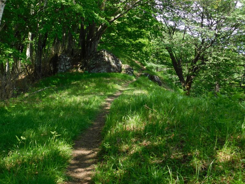 あの岩も化身かな？