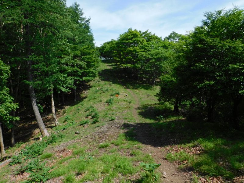 高丸山から日蔭名栗山へ