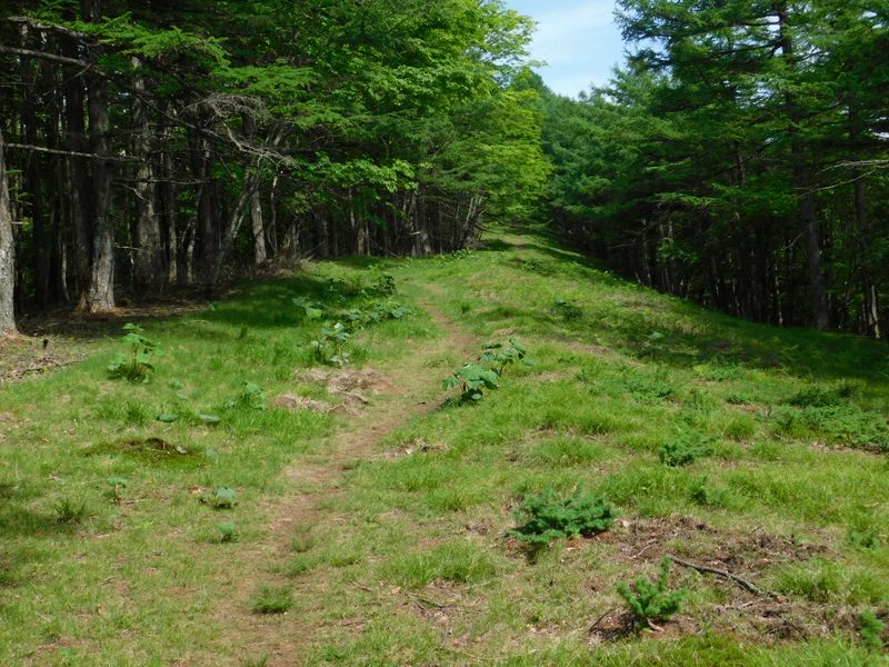 石尾根は今日ものどか
