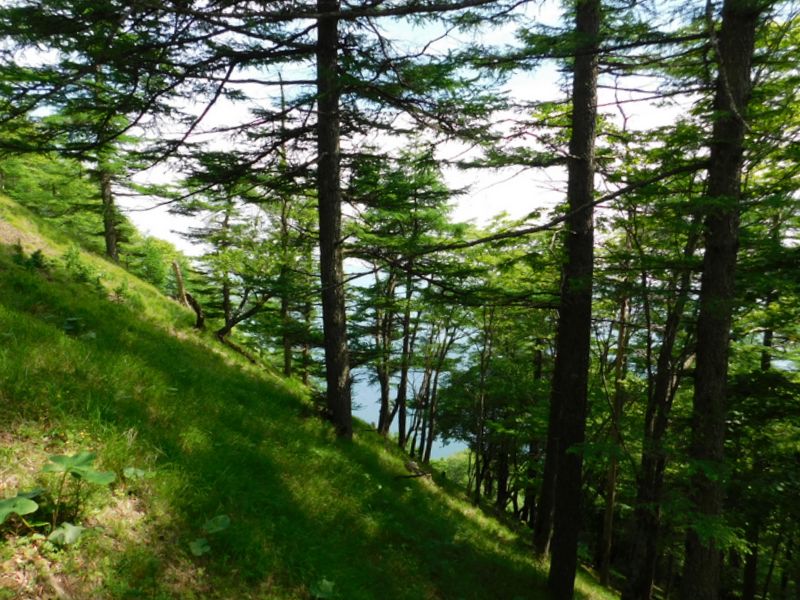 日蔭名栗山への登り