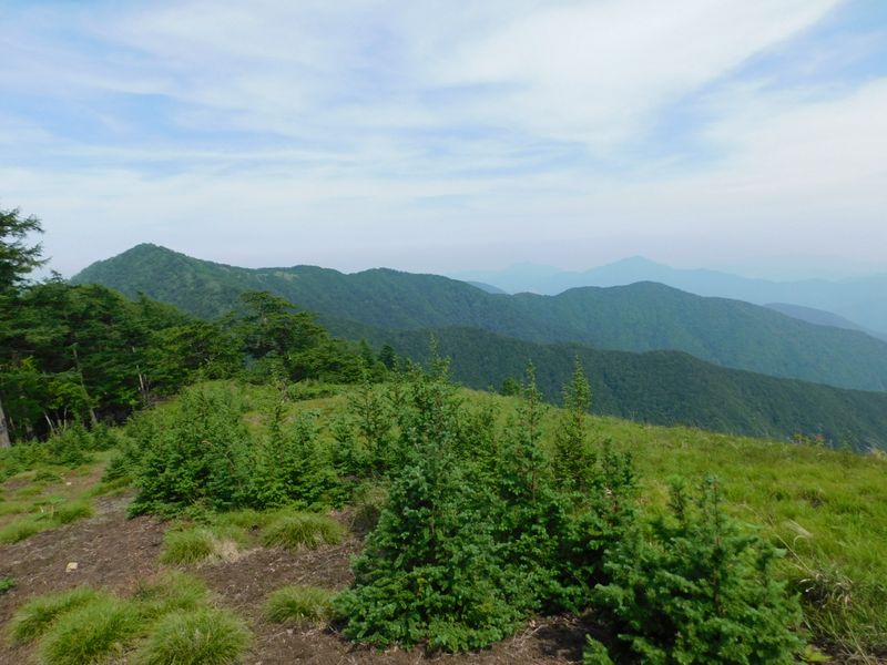 鷹ノ巣山と、今日下る浅間尾根