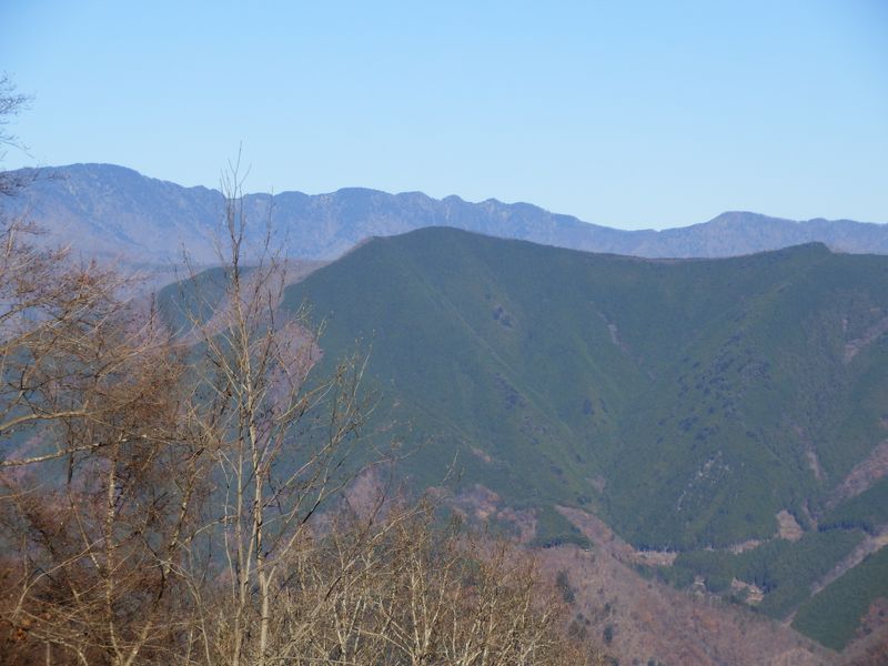 飛龍山から雲取山への稜線