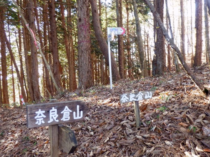 同じ標識がいくつも