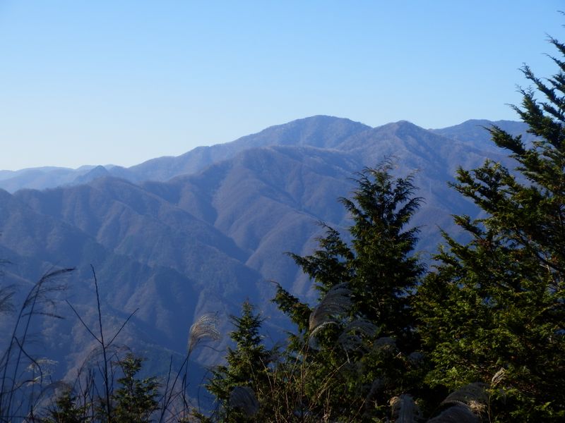雁ヶ腹摺山と楢ノ木尾根