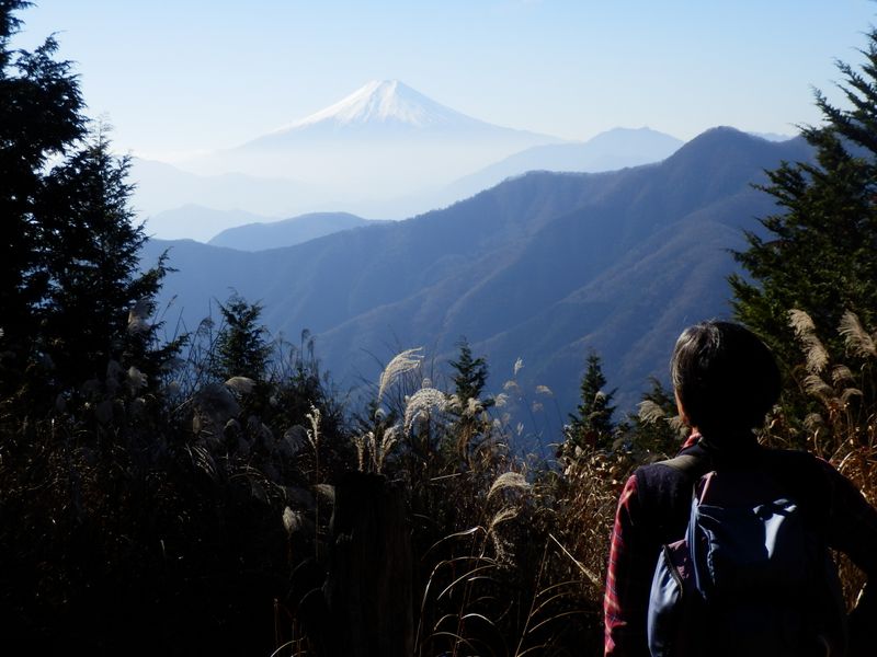 富士山を望む私