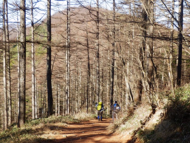 1321m峰の南面を巻く