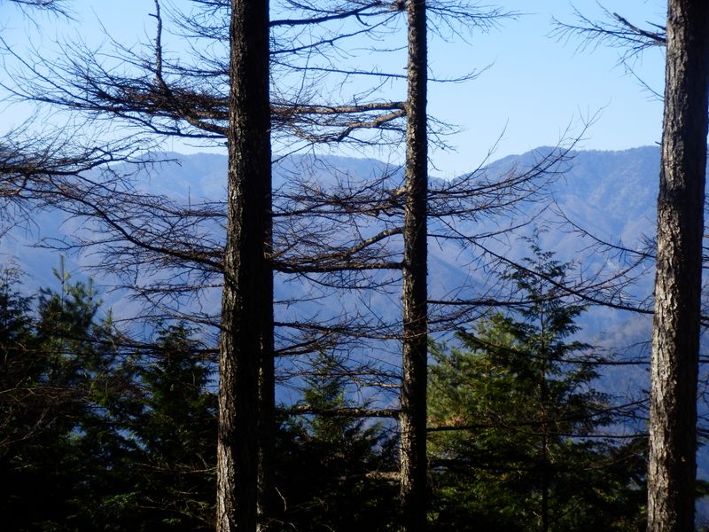牛奥ノ雁ヶ腹摺山かな