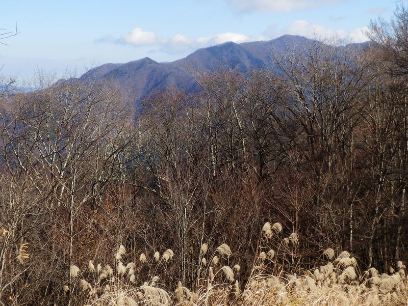三頭山に行った人々も幸い"