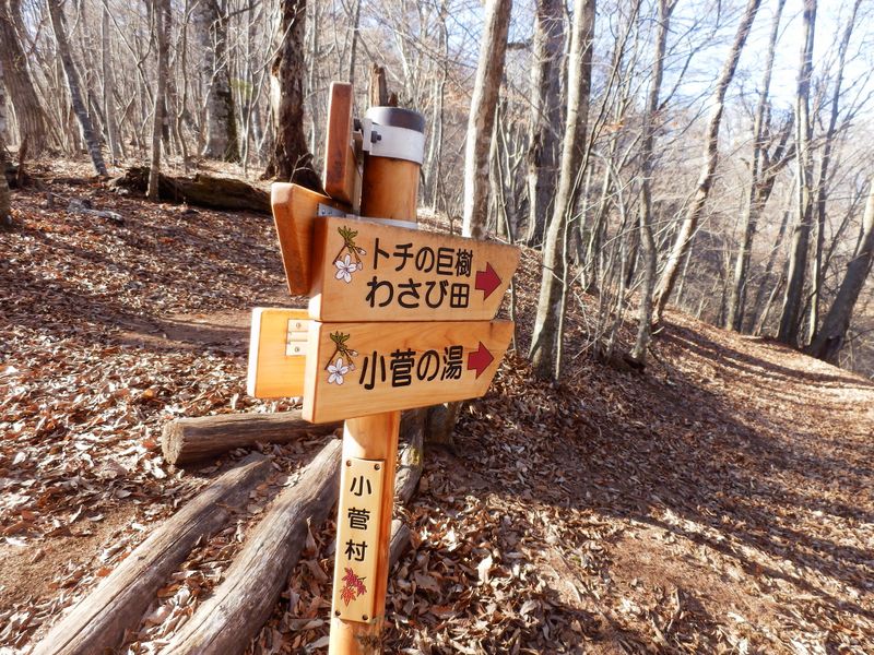 大マテイ山に向かう
