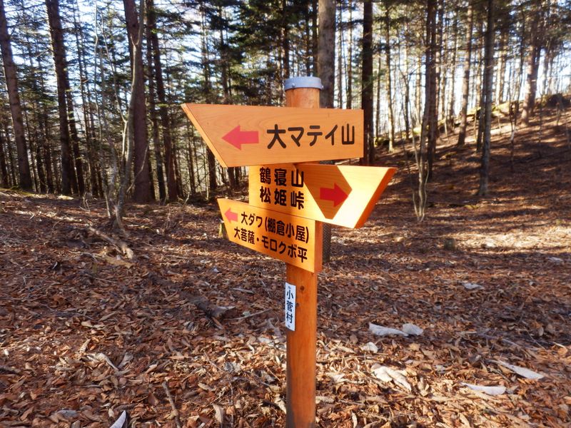 ここから大マテイ山頂へ往復する