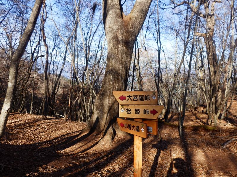 小菅の湯分岐に戻って来た