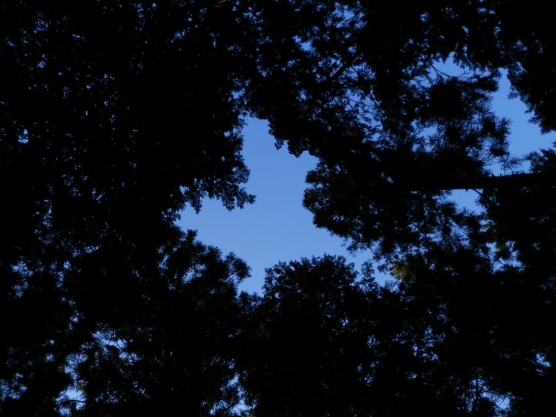 久方峠の空は小さかった