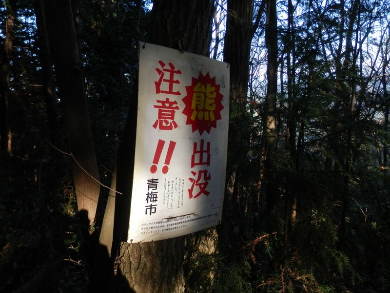 平成22年8月24日にツキノワグマが出没しました