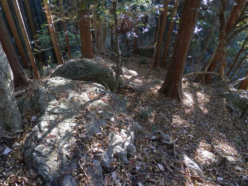 石灰石だろうか