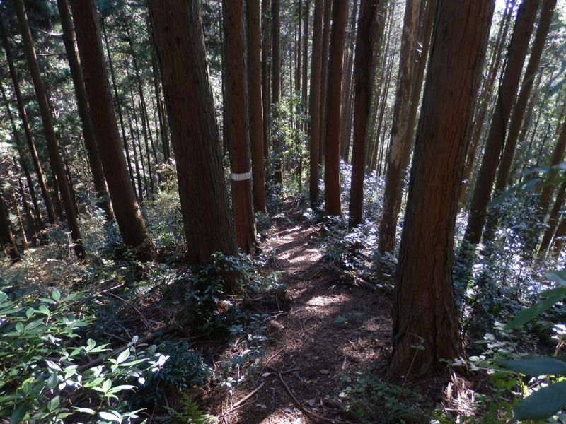 水口（みずのもと）に下って行く