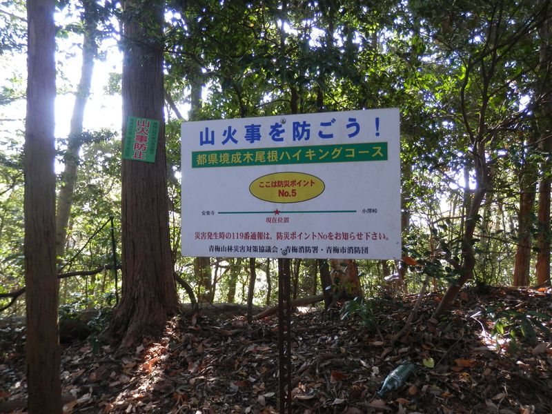 防災ポイント No.5