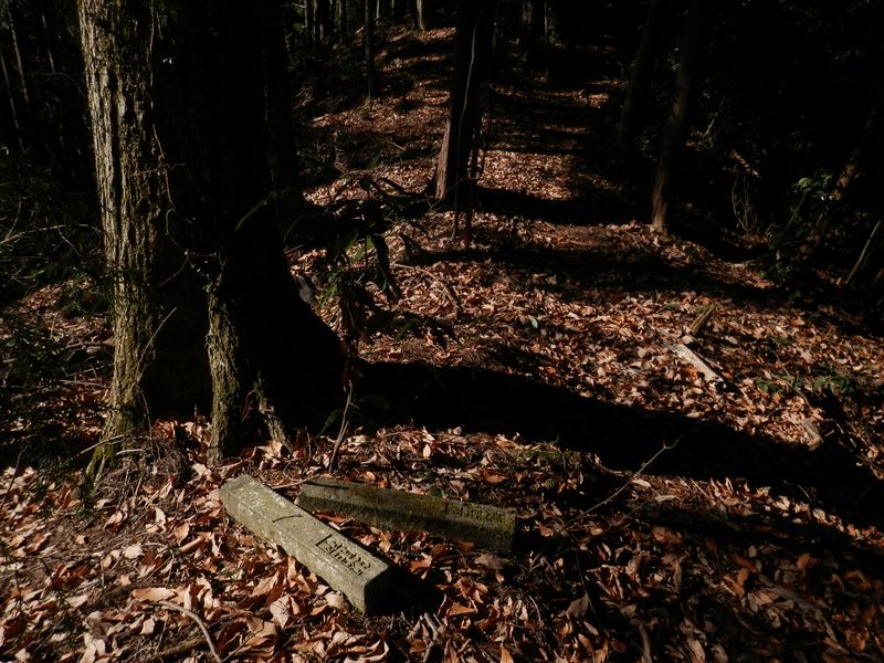 「飯能市」と書かれた境界標